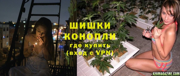 дживик Верея