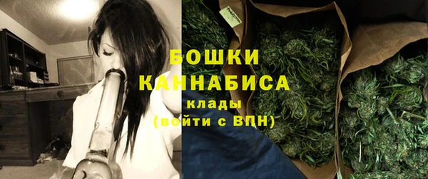 дживик Верея