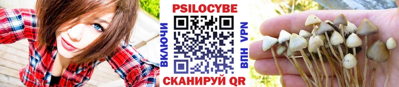 Галлюциногенные грибы мухоморы Новосибирск